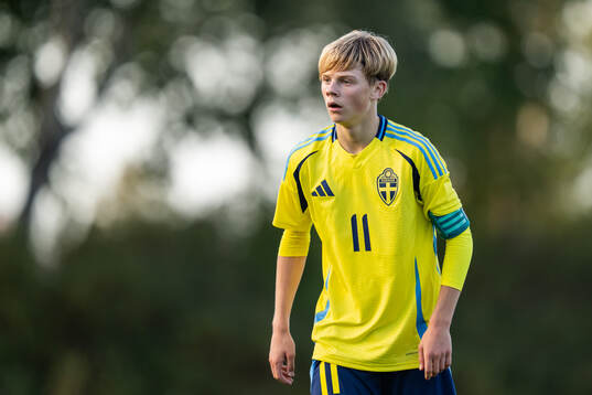 Sveriges Levi Hansas