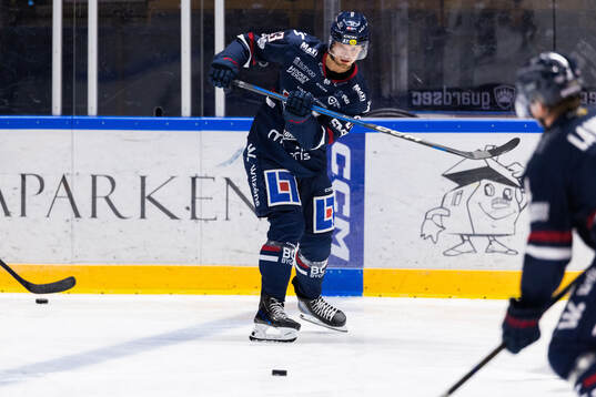 Linköpings Adam Hofbauer
