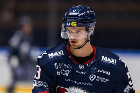 Linköpings Adam Hofbauer