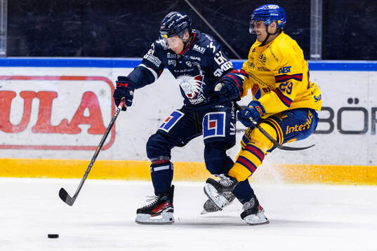 Linköpings Markus Ljungh och Djurgårdens Håvard Salsten
