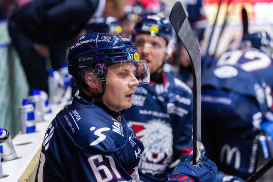 Linköpings Markus Ljungh