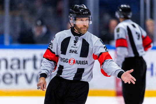 Domare Tobias Björk