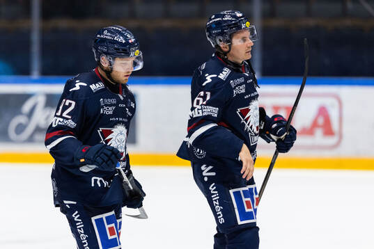 Linköpings Zion Nybeck och Markus Ljungh deppar
