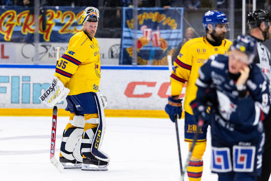 Djurgårdens målvakt Magnus Hellberg