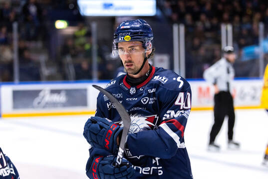 Linköpings David Bernhardt