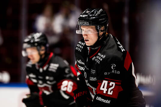 Malmö Redhawks Robin Salo