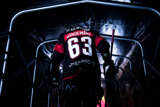 Malmö Redhawks Fredrik Händemark