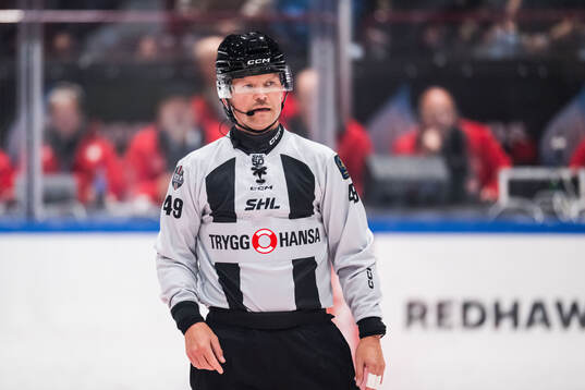 Linjedomare Ludvig Lundgren