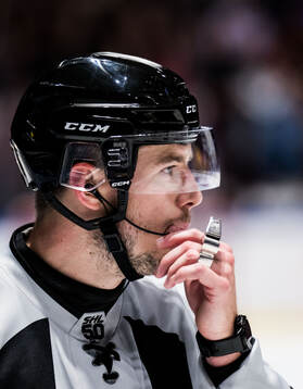 Domare Oscar Niklasson