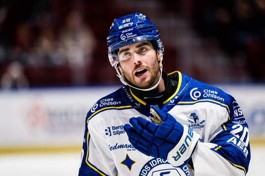 Leksands Nolan Stevens