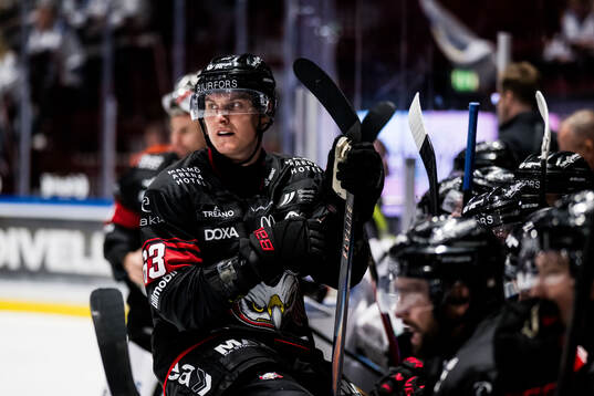 Malmö Redhawks Fredrik Händemark