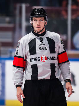 Domare Oscar Niklasson