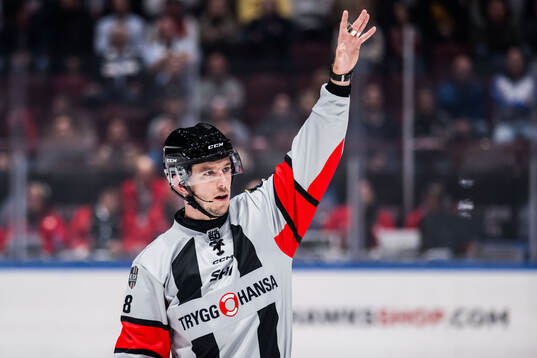 Domare Oscar Niklasson