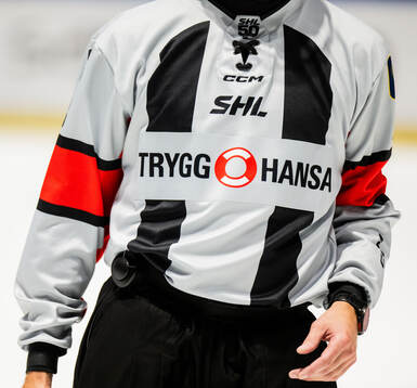Trygg Hansa på domarna