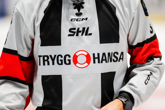 Trygg Hansa på domarna