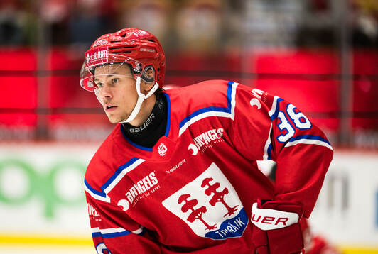 Timrås Albin Sundin