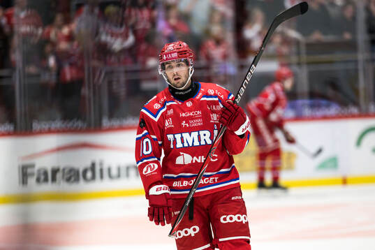 Timrås David Lilja