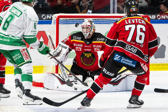 Luleås målvakt Matteus Ward