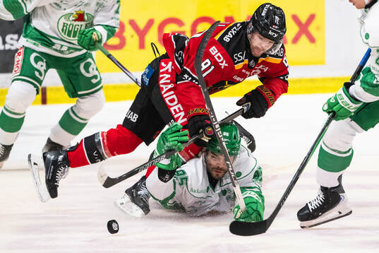 Luleås Brian O'Neill och Rögles Mark Friedman