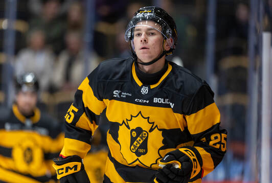 Skellefteås Pontus Johansson