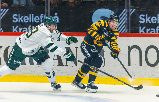Färjestads Filip Roos och Skellefteås Andreas Johnson