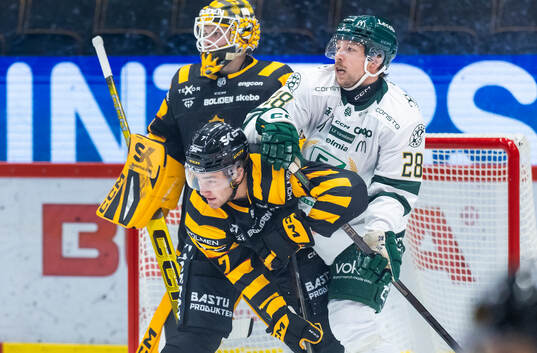 Skellefteås Frans Haara och Färjestads Emil Alba