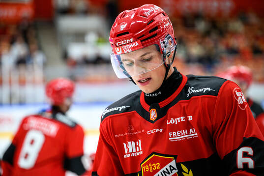 Almtunas Ludvig Georgsson