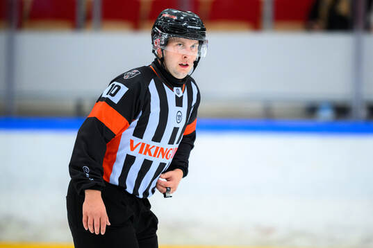 Domare Alex Eriksson