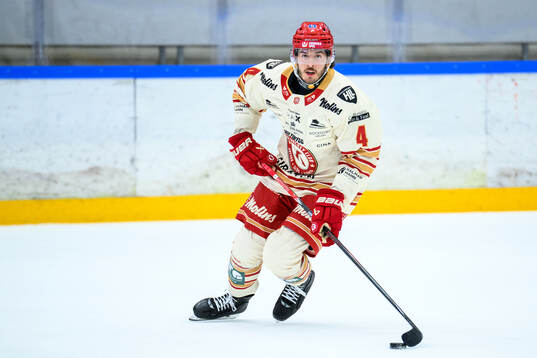 under ishockeymatchen i Hockeyallsvenskan mellan Almtuna