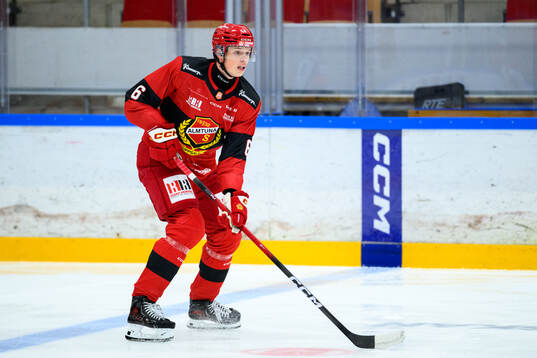 Almtunas Ludvig Georgsson