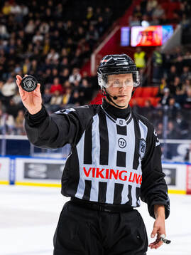 Linjedomare Peter A Eriksson