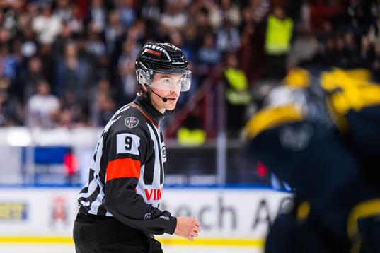 Domare Filip Eriksson