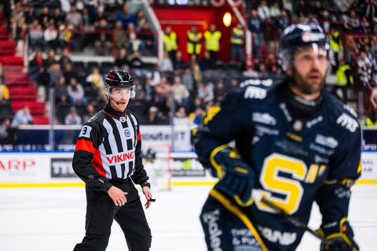 Domare Filip Eriksson