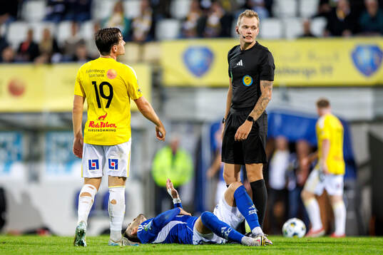 Domare Fredrik Alknäs