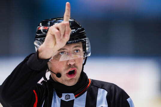Domare Robin Jacobsson