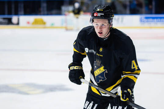 AIKs   Viggo Gustafsson