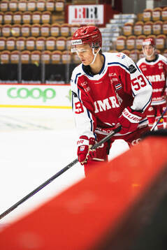 Timrås Felix Wallman