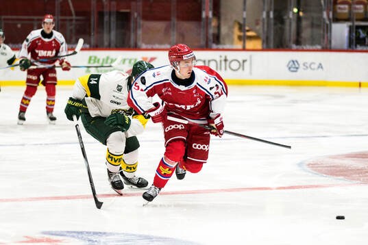 Timrås Emil Stadin