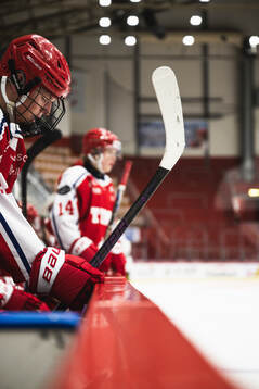 Timrås Alex Kristiansson