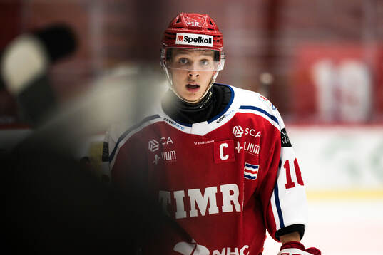 Timrås Alve Johansson