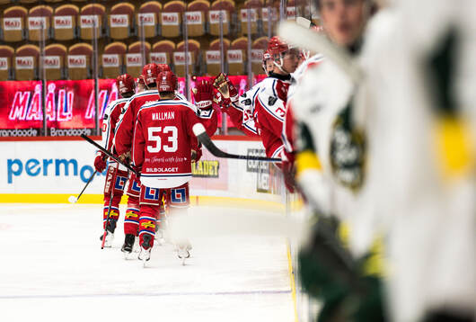 Timrås Elias Hedlund jublar
