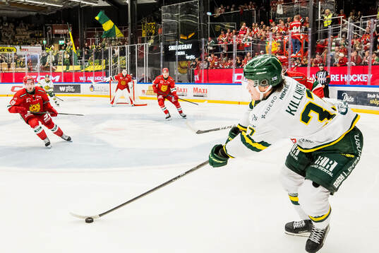 Björklövens Lenni Killinen