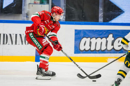 Moras Gustav Salmi-Lilja