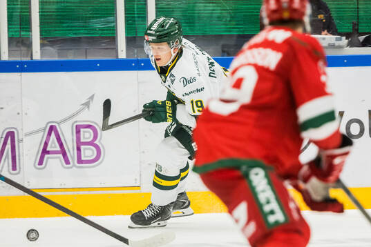 Björklövens Liam Dower Nilsson