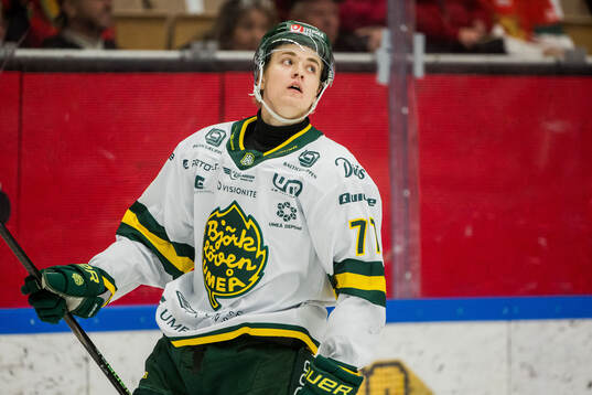 Björklövens Gustav Possler