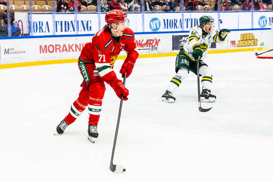 Moras Travis Treloar