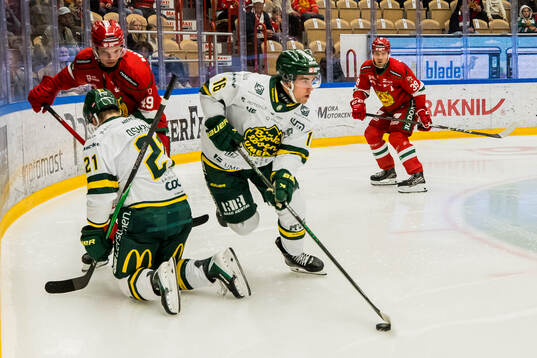 Björklövens Gustaf Kangas