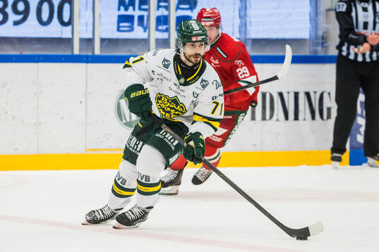 Björklövens Gustav Possler