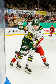 Björklövens Liam Dower Nilsson
