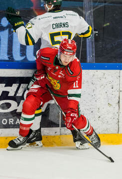 Moras Gustav Salmi-Lilja